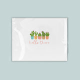A white background with a graphic design featuring a row of colorful cacti and the text 